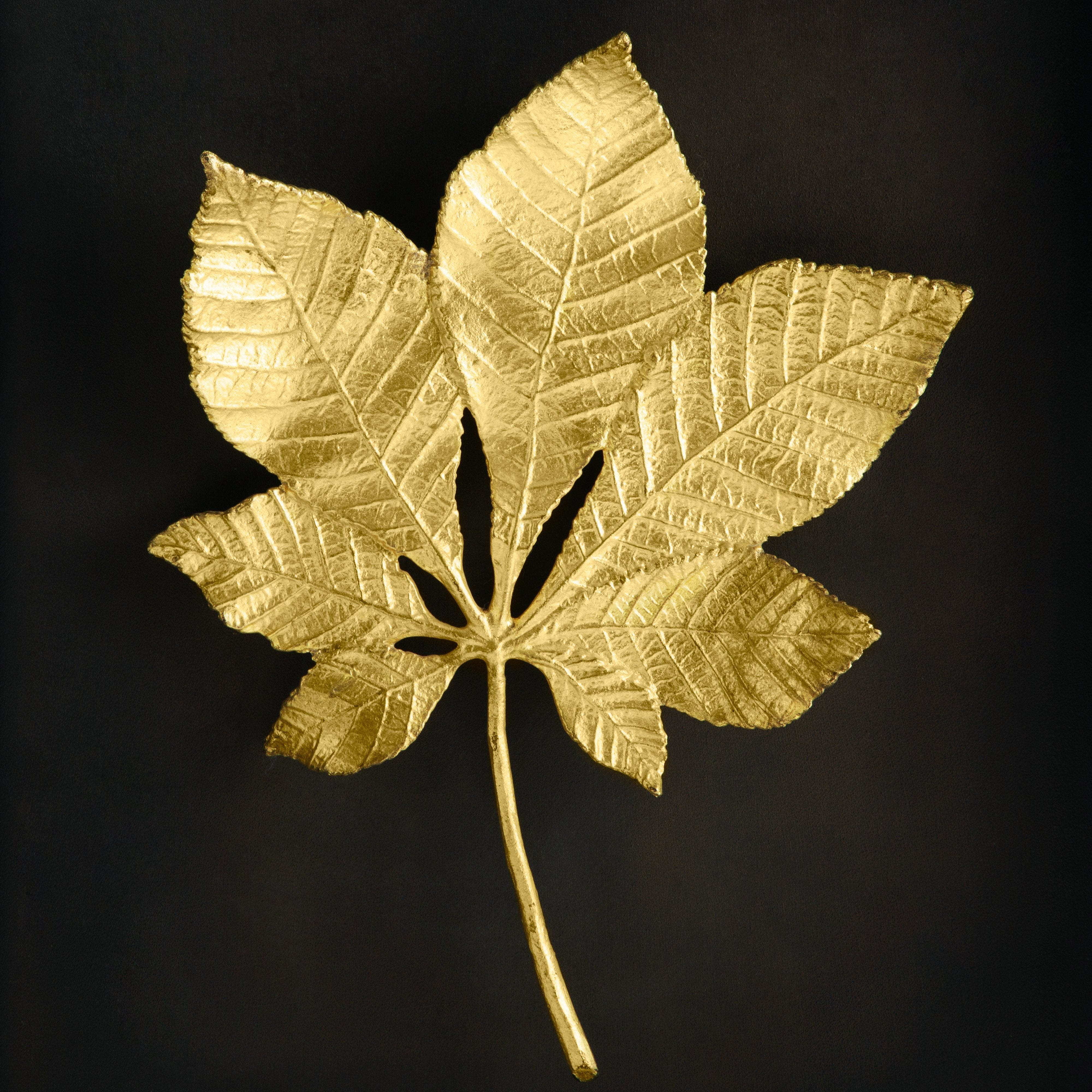 Michael Aram Chestnut Leaf Shadow Box