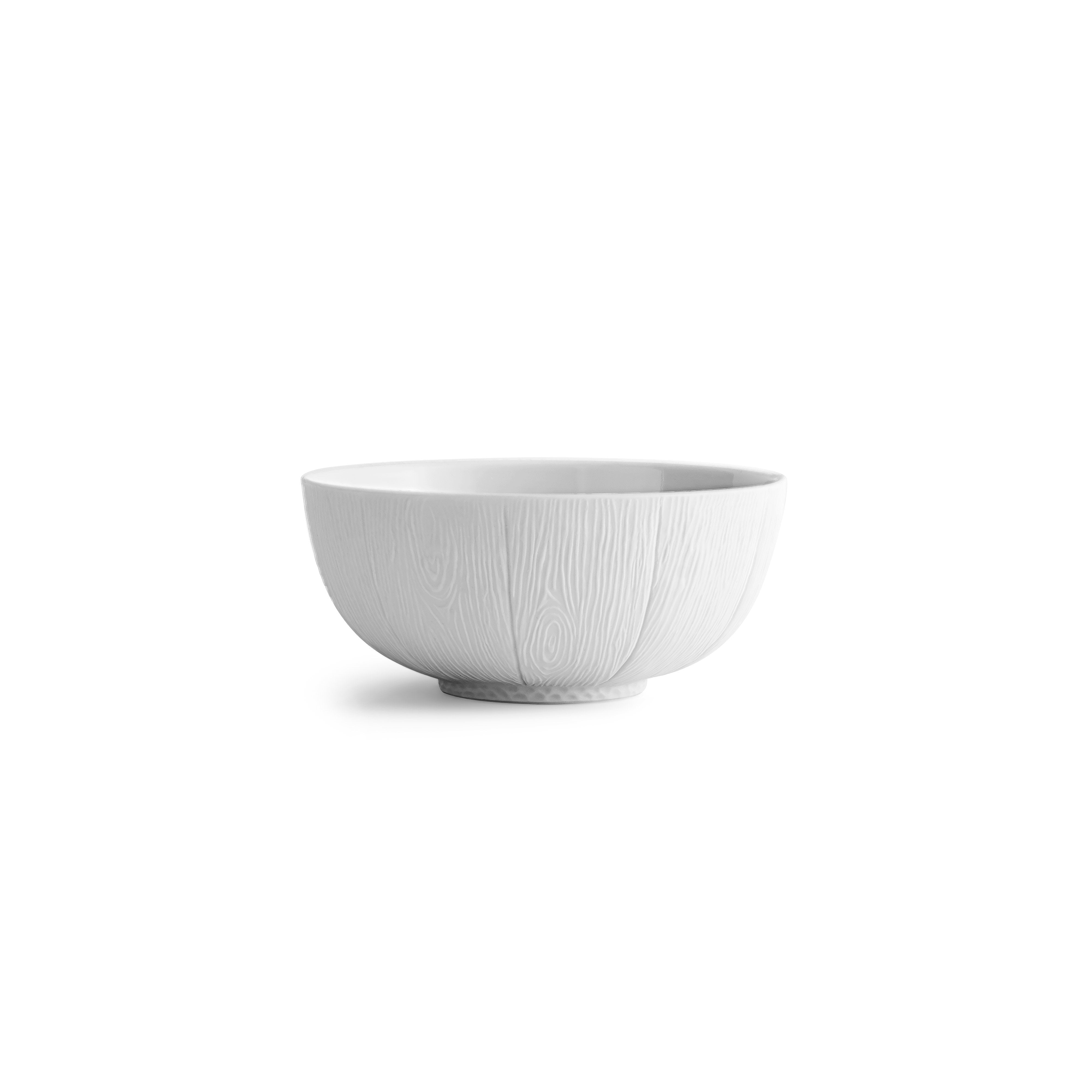 Michael Aram Ivy &amp; Oak Dinnerware