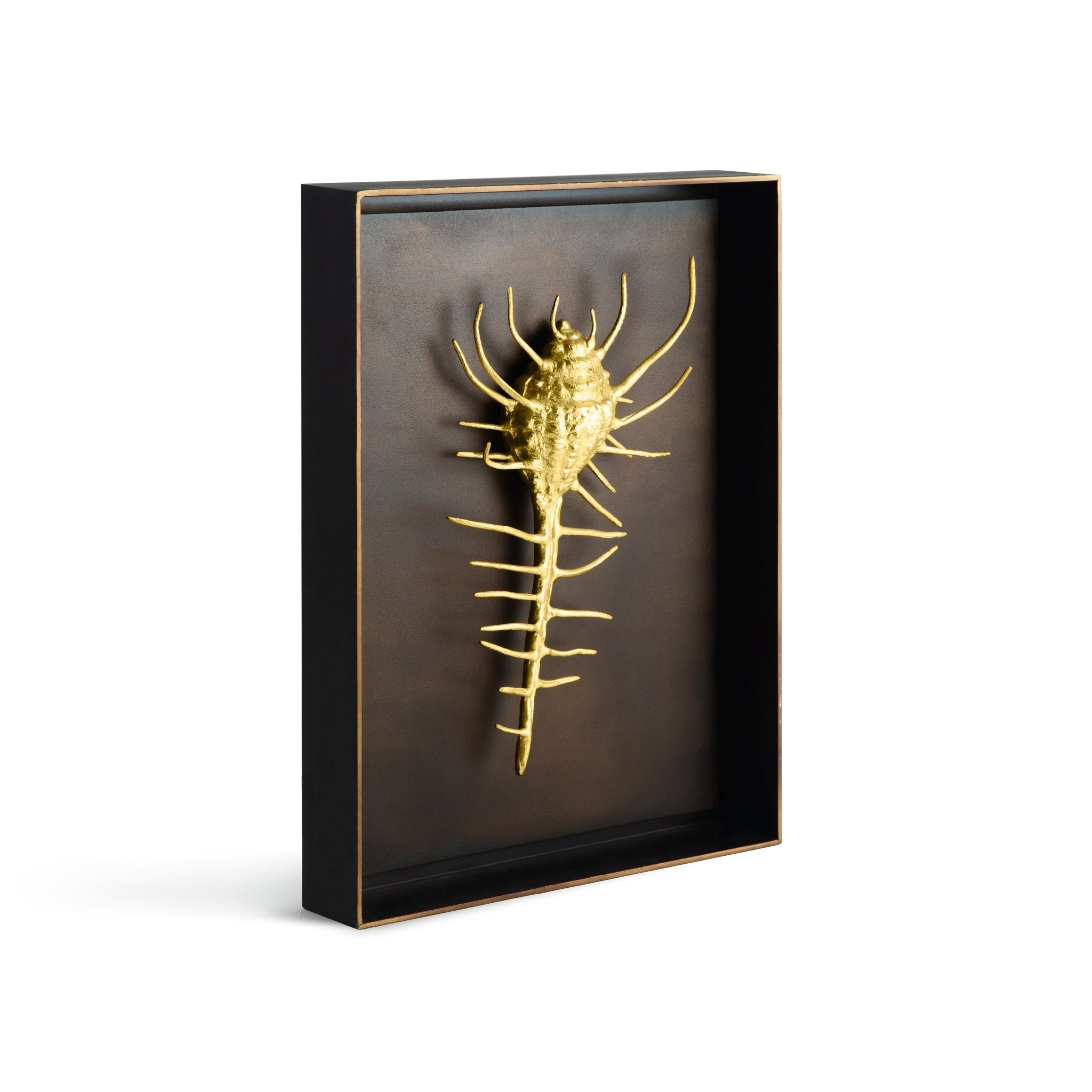 Michael Aram Venus Comb Shell Shadow Box